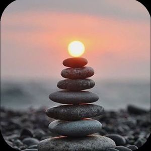 Meet your Posher, Elliot